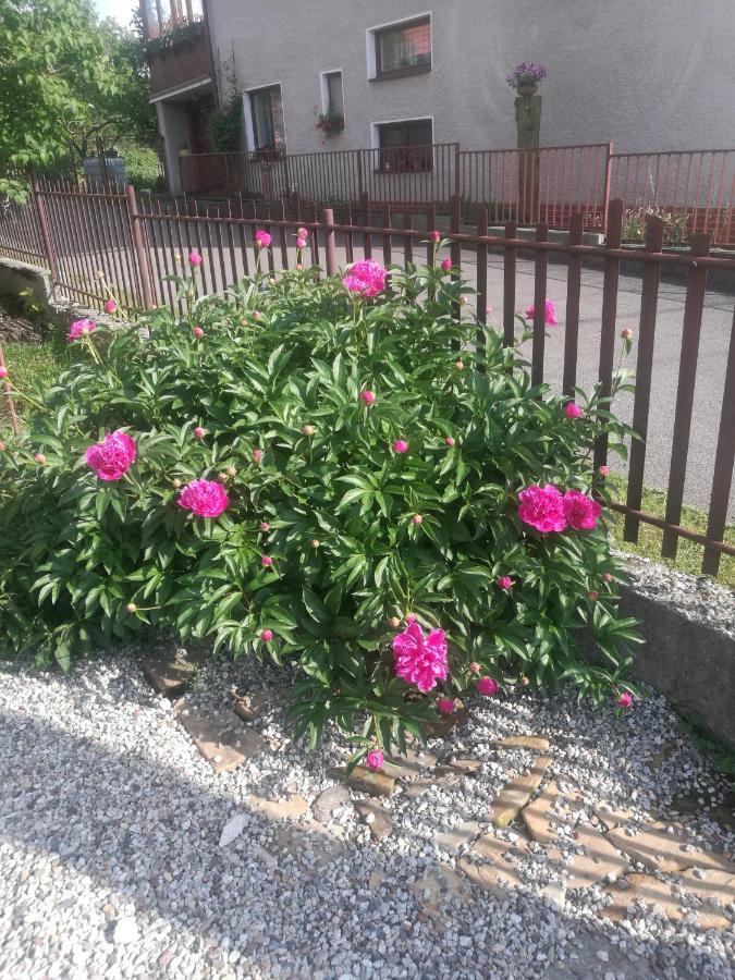 Апартаменти Drevenica Zapadne Tatry S Kupacou Kadou A Krbom Жьяр Екстер'єр фото